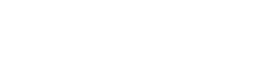 Zorros Revolution Biker